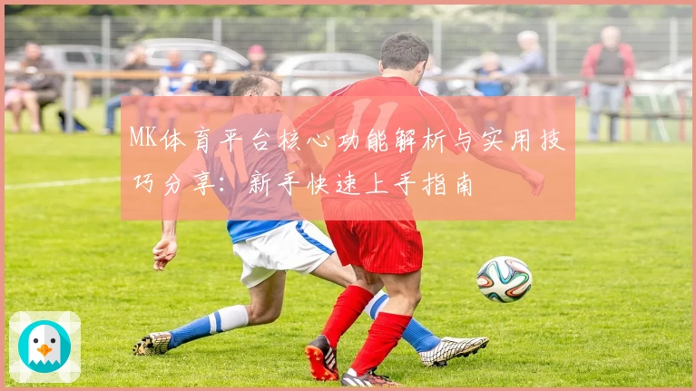 MK体育平台核心功能解析与实用技巧分享：新手快速上手指南